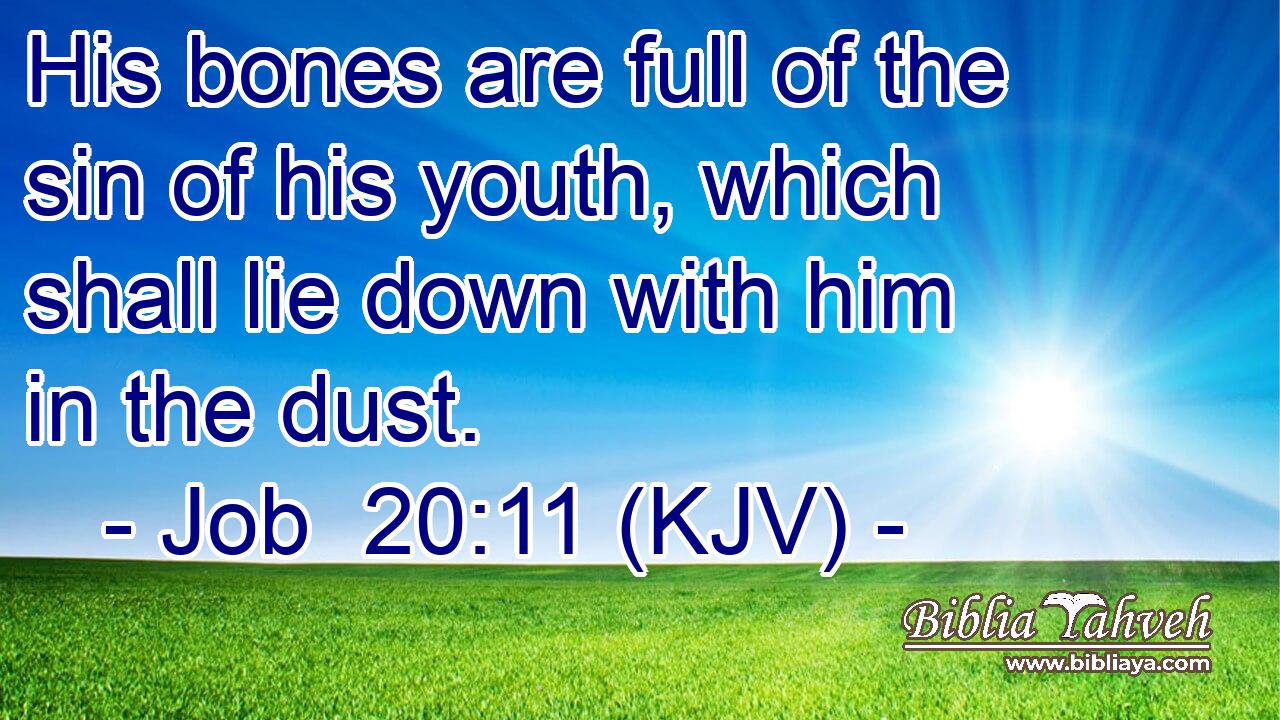 His bones are full of the sin of his youth, which shall lie down with him in the dust.