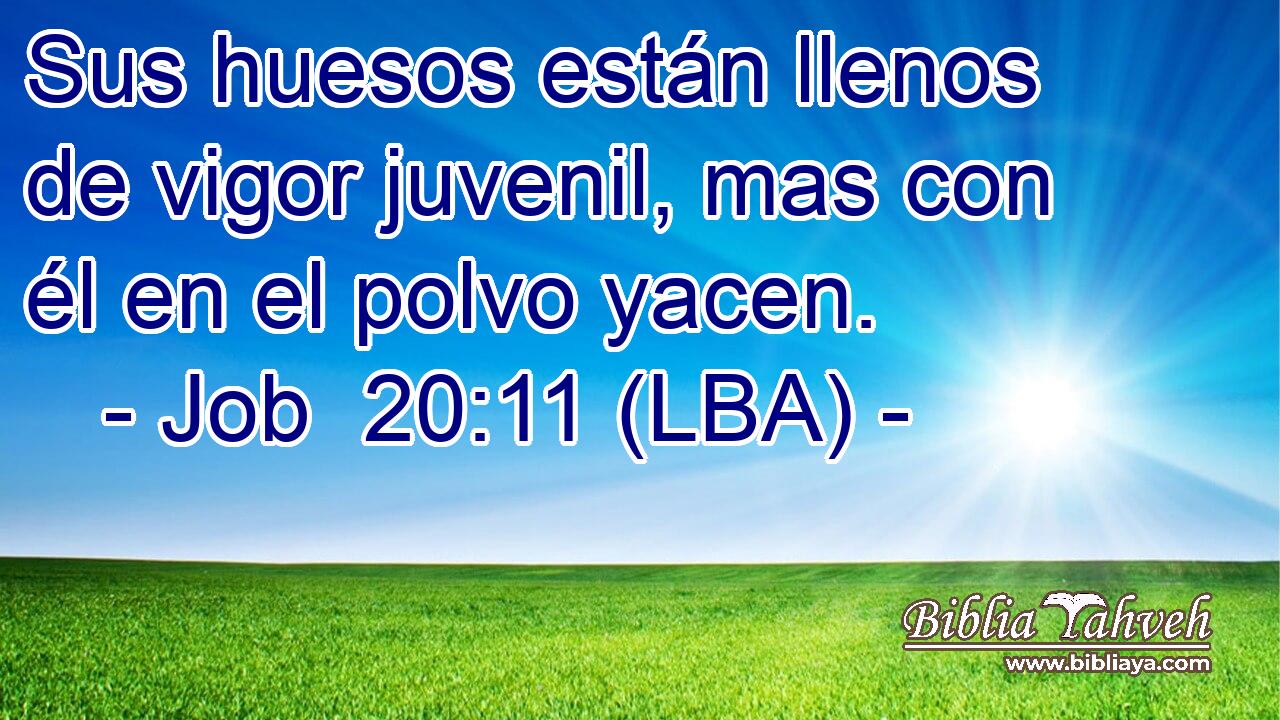 Sus huesos están llenos de vigor juvenil, mas con él en el polvo yacen.