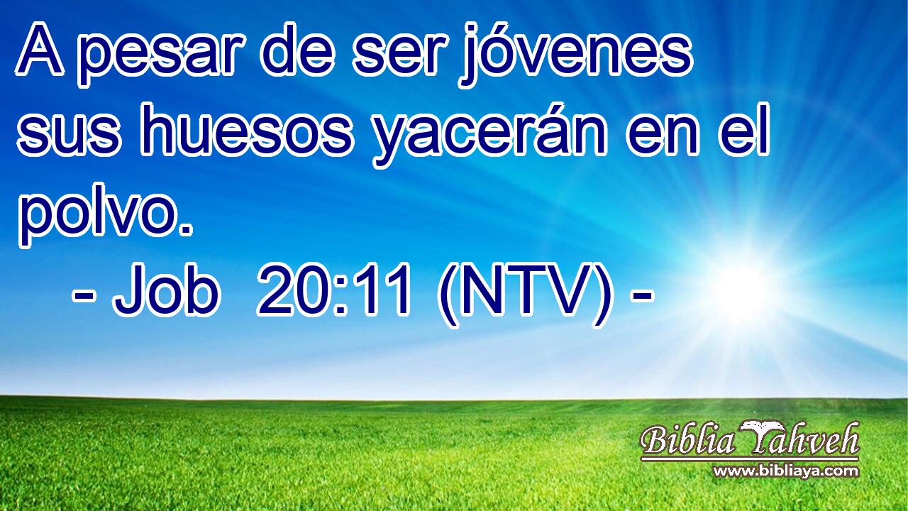 A pesar de ser jóvenes sus huesos yacerán en el polvo.