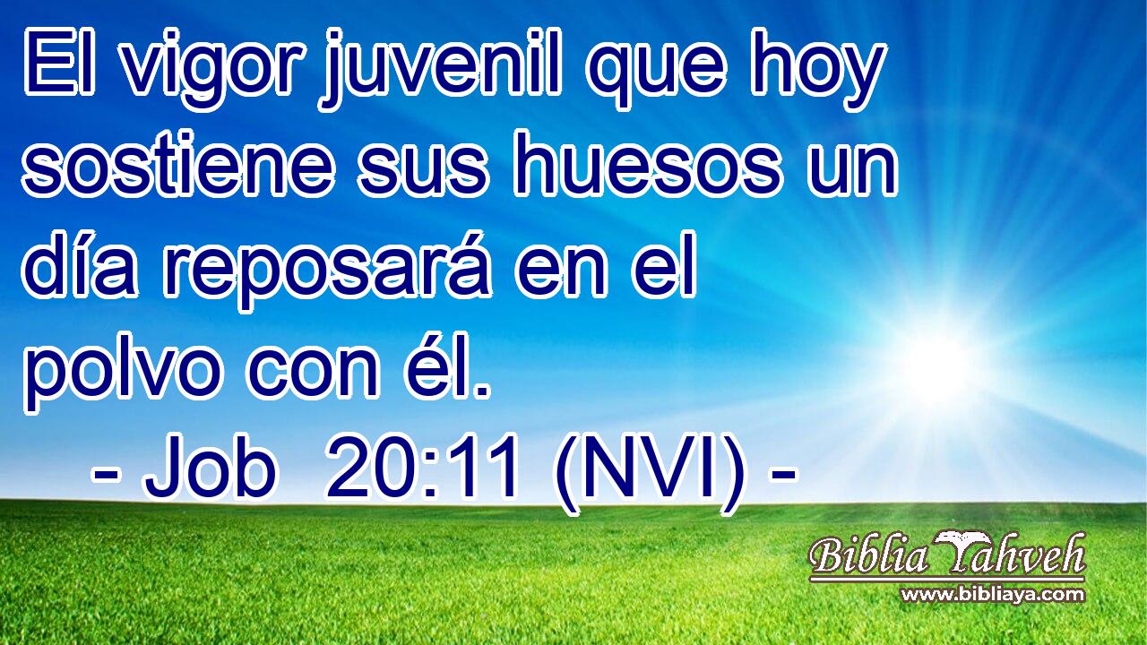  El vigor juvenil que hoy sostiene sus huesos un día reposará en el polvo con él. 