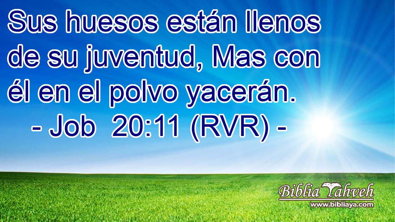 Sus huesos están llenos de su juventud, Mas con él en el polvo yacerán.