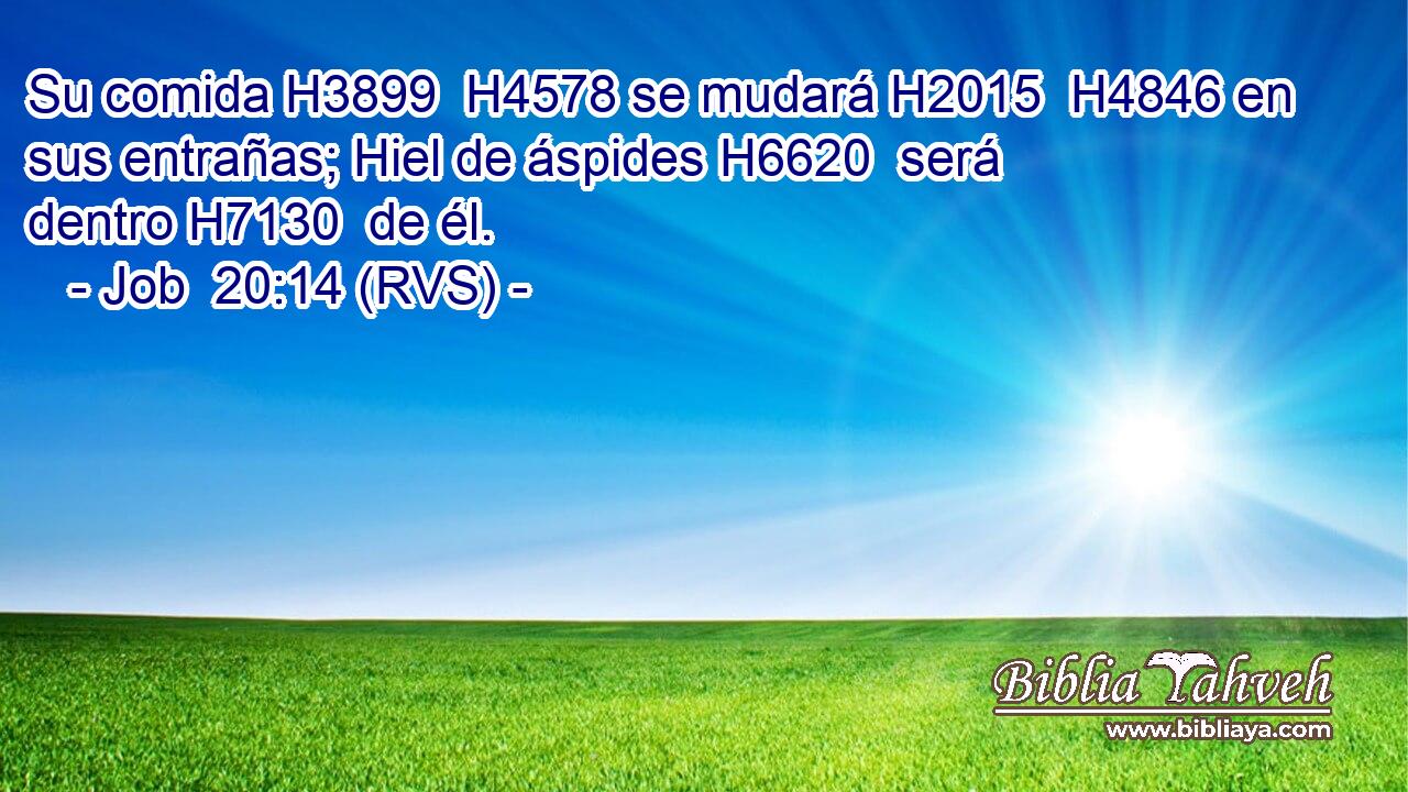 Su comida H3899  H4578 se mudará H2015  H4846 en sus entrañas; Hiel de áspides H6620  será dentro H7130  de él. 