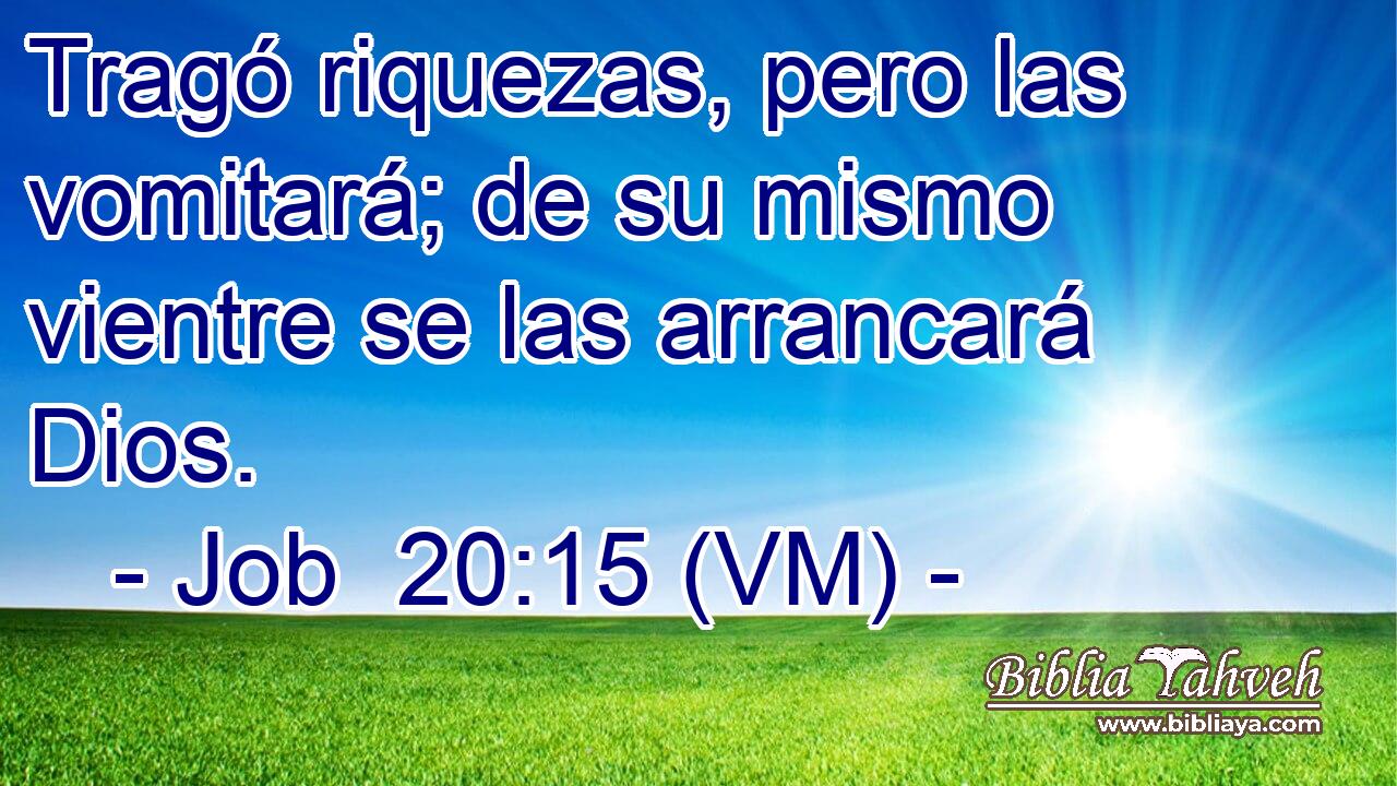 Tragó riquezas, pero las vomitará; de su mismo vientre se las arrancará Dios. 