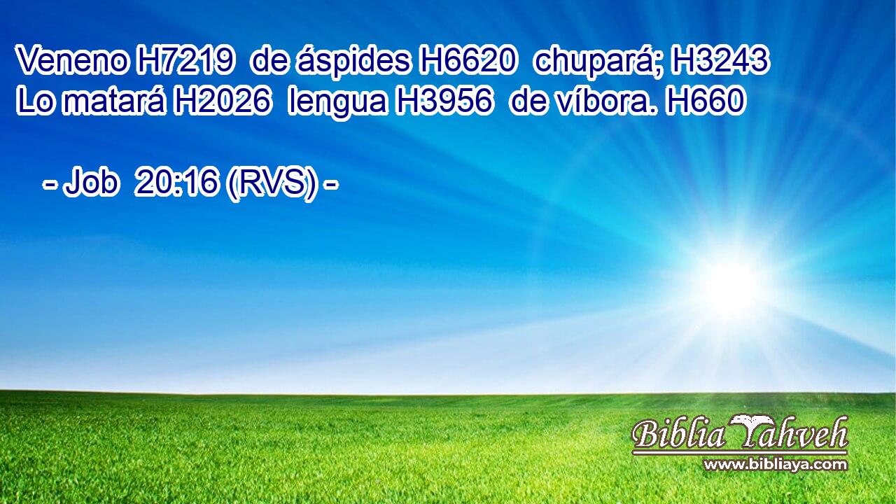 Veneno H7219  de áspides H6620  chupará; H3243  Lo matará H2026  lengua H3956  de víbora. H660  