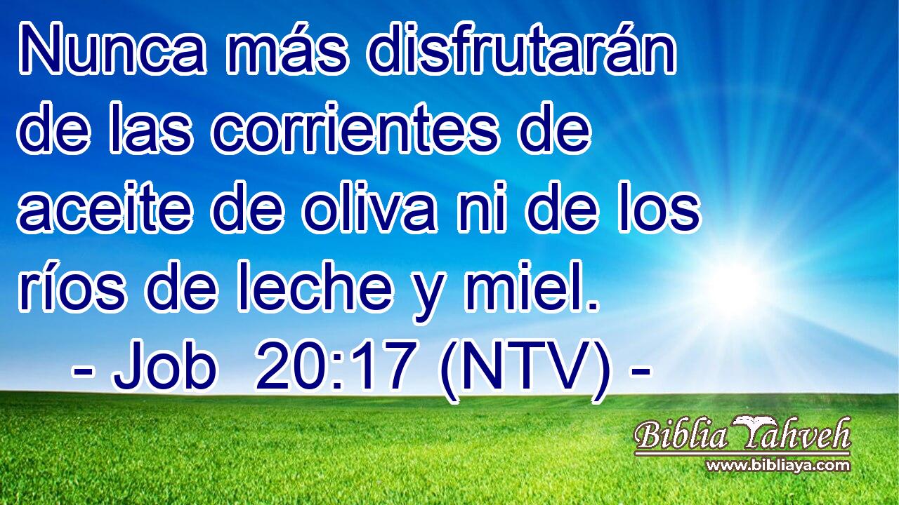 Nunca más disfrutarán de las corrientes de aceite de oliva ni de los ríos de leche y miel.
