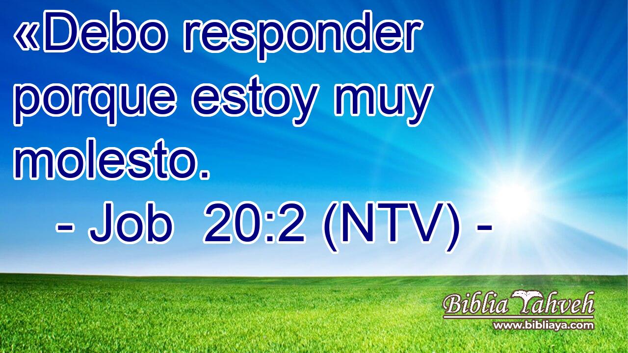 «Debo responder porque estoy muy molesto.