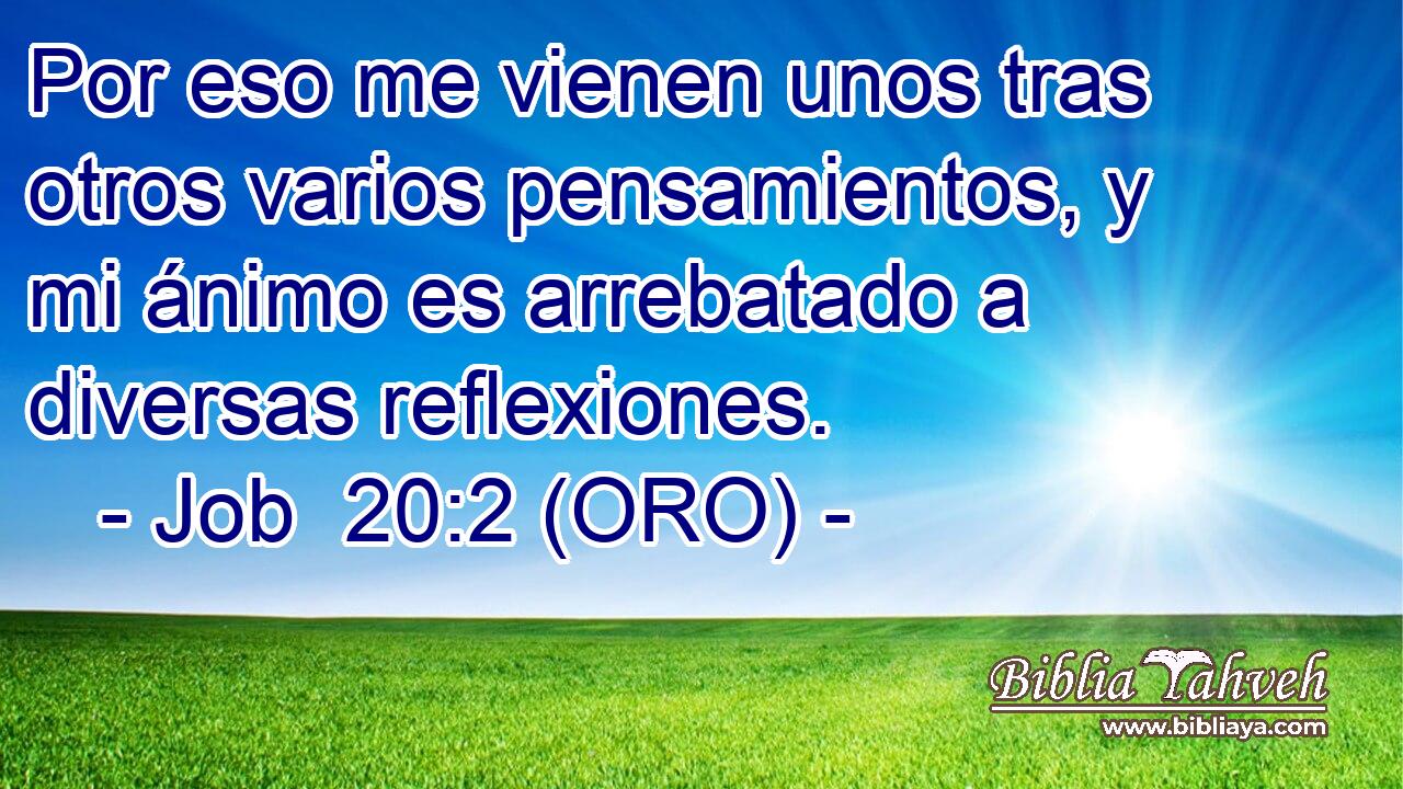  Por eso me vienen unos tras otros varios pensamientos, y mi ánimo es arrebatado a diversas reflexiones. 