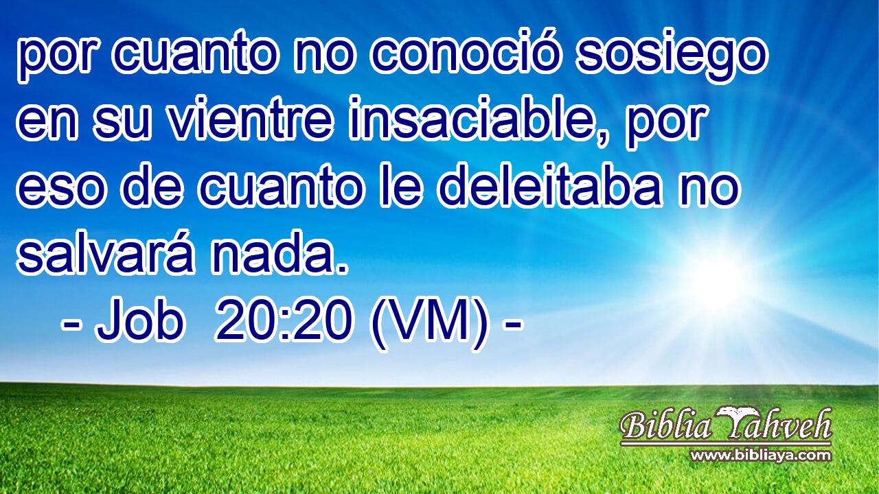  por cuanto no conoció sosiego en su vientre insaciable, por eso de cuanto le deleitaba no salvará nada. 