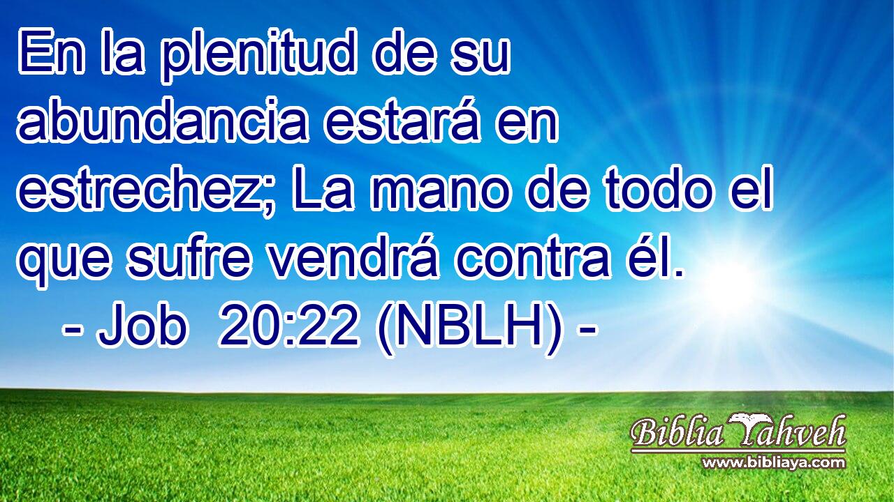  En la plenitud de su abundancia estará en estrechez; La mano de todo el que sufre vendrá contra él. 