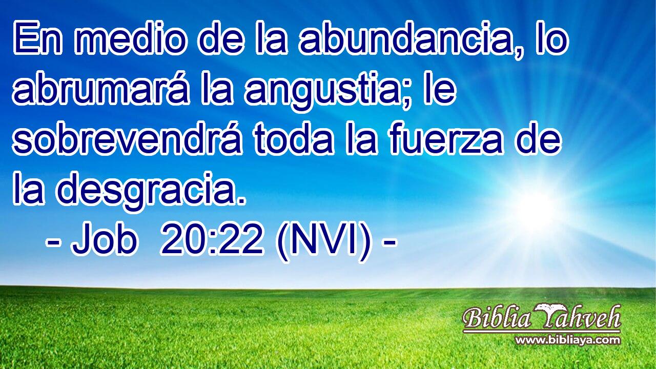  En medio de la abundancia, lo abrumará la angustia; le sobrevendrá toda la fuerza de la desgracia. 