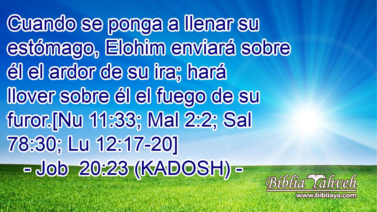  Cuando se ponga a llenar su estómago, Elohim enviará sobre él el ardor de su ira; hará llover sobre él el fuego de su furor.[Nu 11:33; Mal 2:2; Sal 78:30; Lu 12:17-20] 