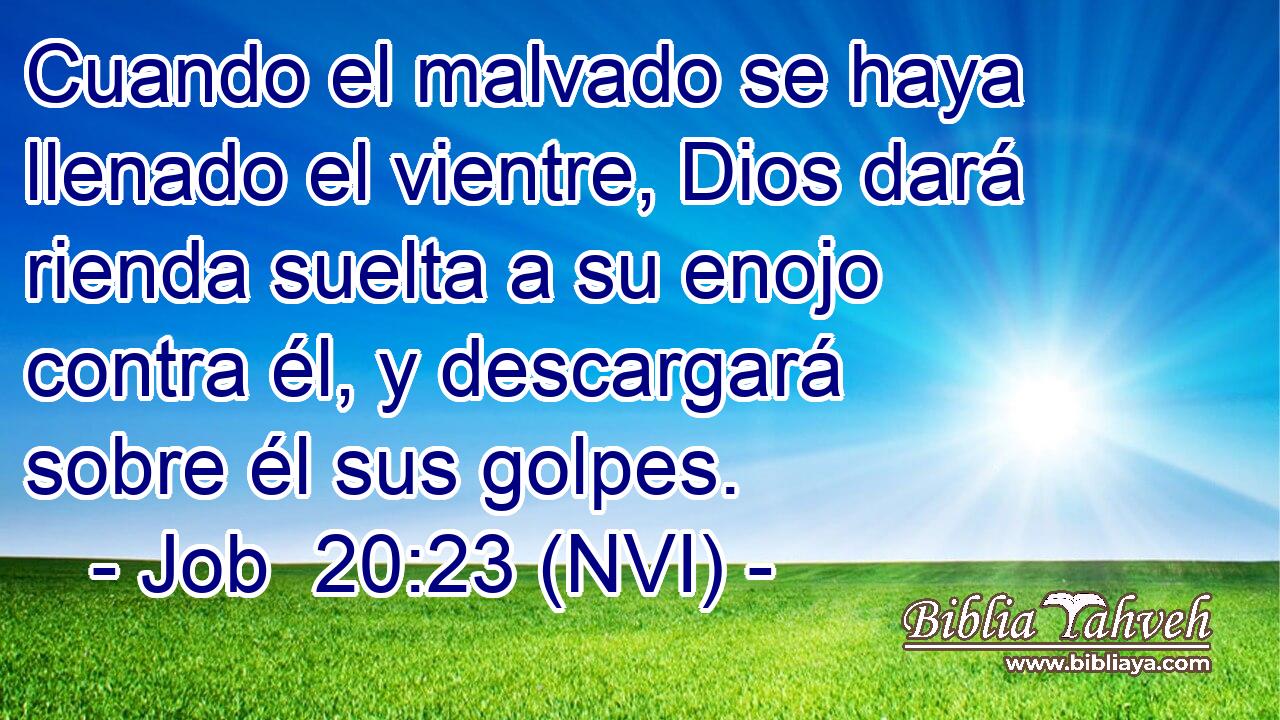  Cuando el malvado se haya llenado el vientre, Dios dará rienda suelta a su enojo contra él, y descargará sobre él sus golpes. 