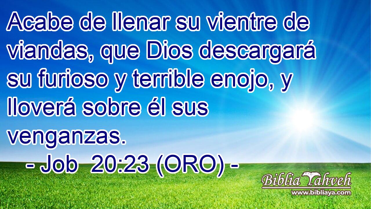  Acabe de llenar su vientre de viandas, que Dios descargará su furioso y terrible enojo, y lloverá sobre él sus venganzas. 