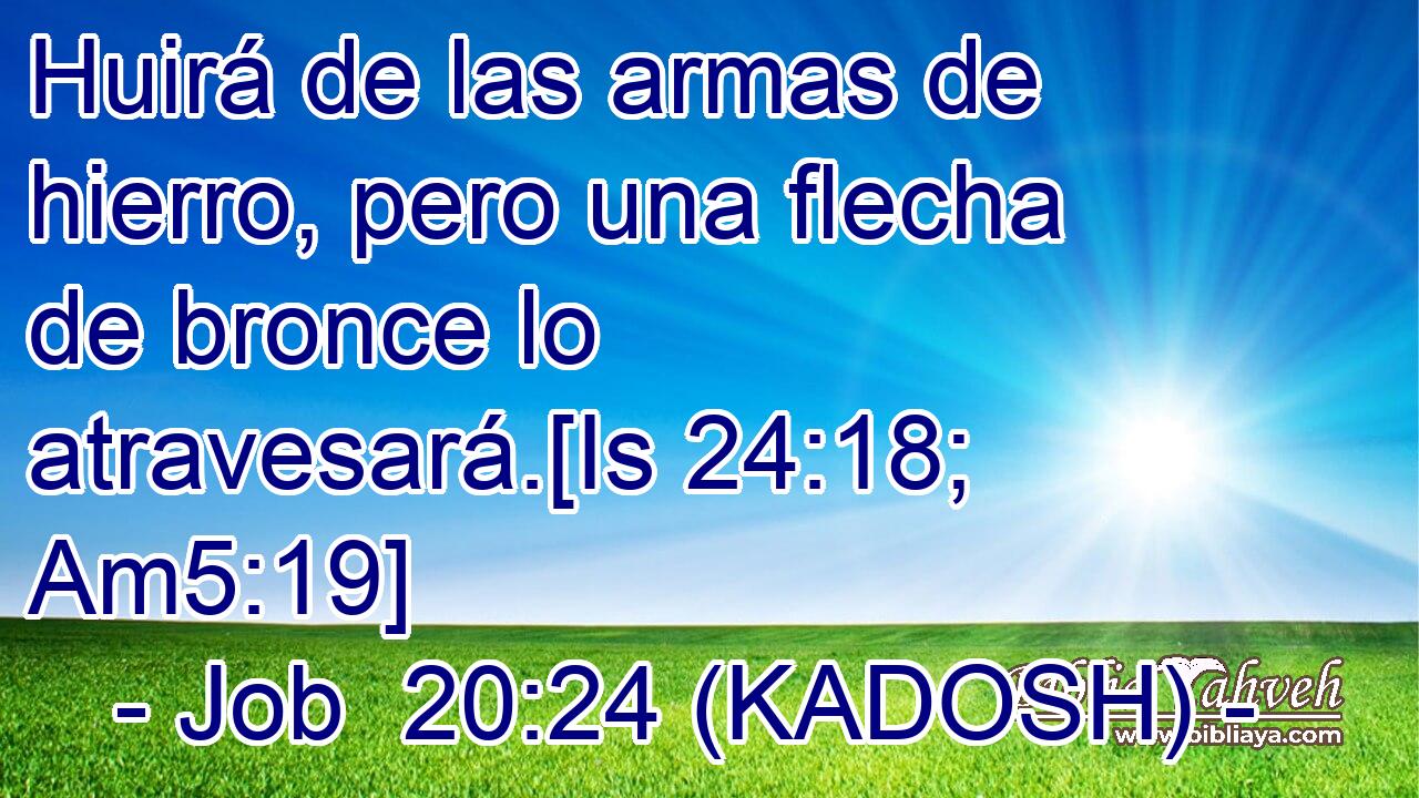  Huirá de las armas de hierro, pero una flecha de bronce lo atravesará.[Is 24:18; Am5:19] 