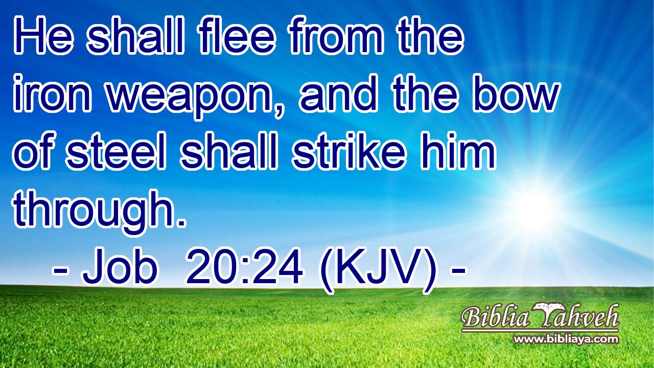 He shall flee from the iron weapon, and the bow of steel shall strike him through.