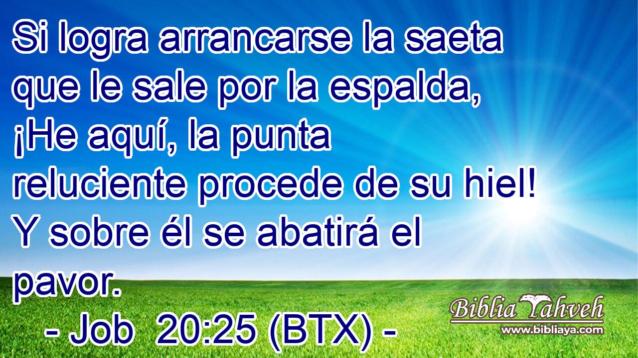 Si logra arrancarse la saeta que le sale por la espalda, ¡He aquí, la punta reluciente procede de su hiel! Y sobre él se abatirá el pavor.