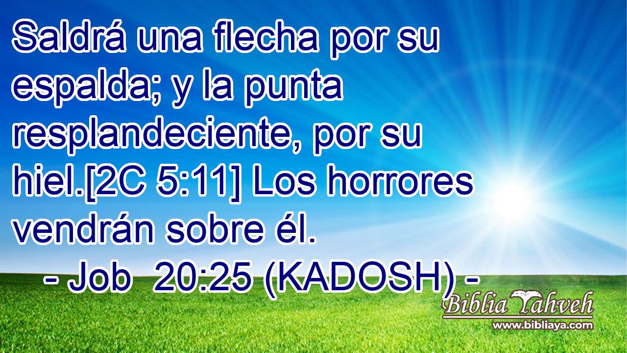  Saldrá una flecha por su espalda; y la punta resplandeciente, por su hiel.[2C 5:11] Los horrores vendrán sobre él. 