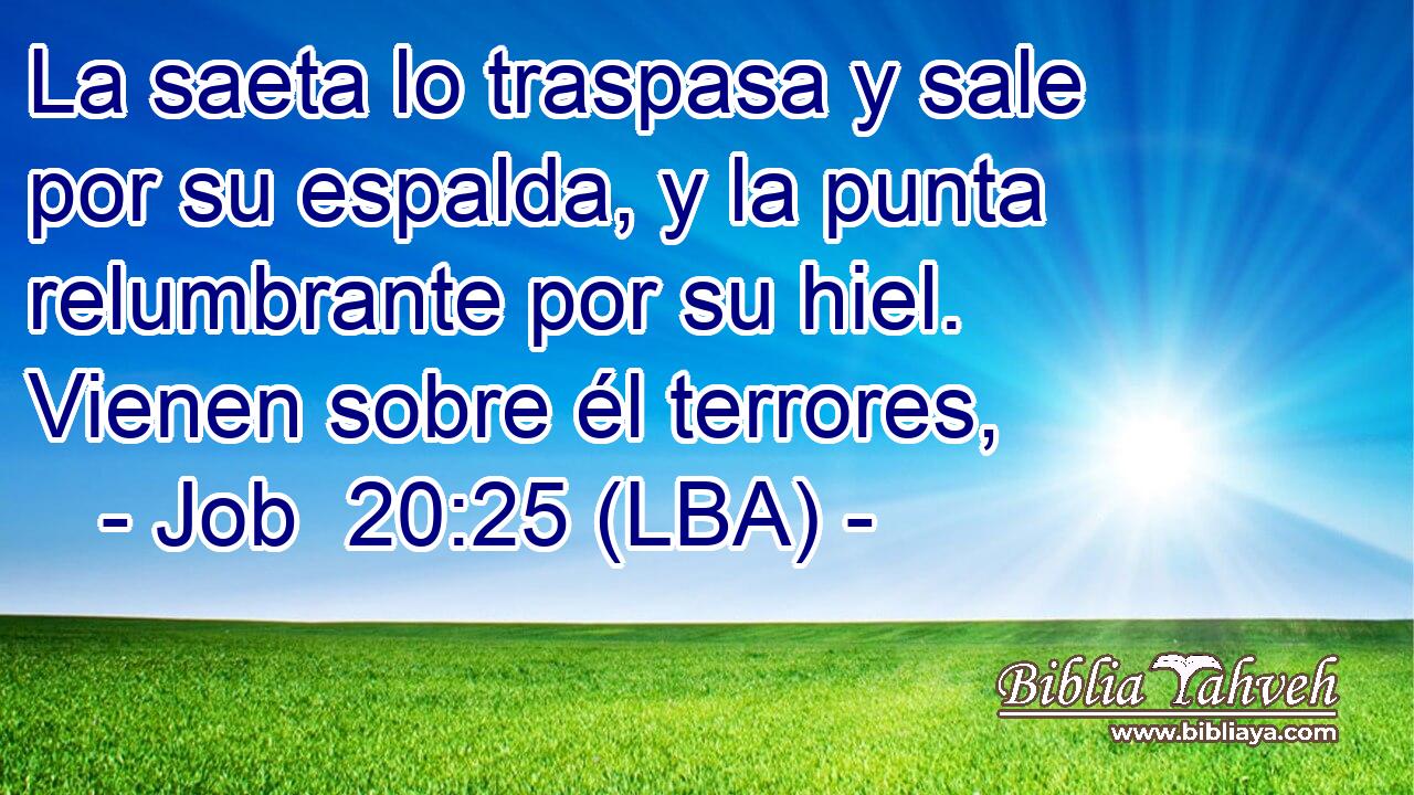 La saeta lo traspasa y sale por su espalda, y la punta relumbrante por su hiel. Vienen sobre él terrores,