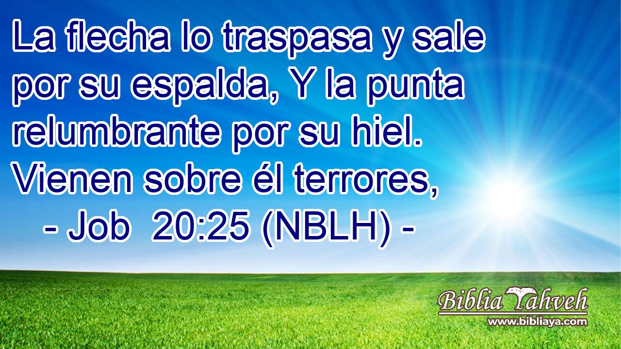  La flecha lo traspasa y sale por su espalda, Y la punta relumbrante por su hiel. Vienen sobre él terrores, 