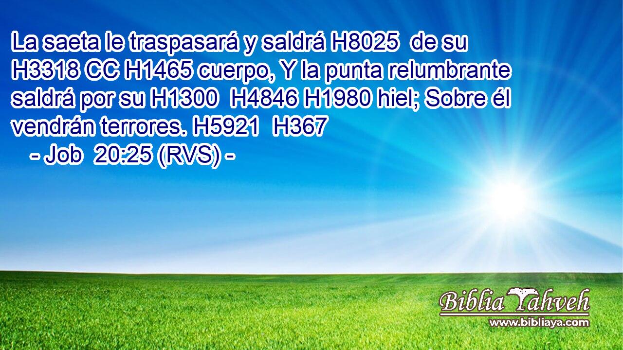 La saeta le traspasará y saldrá H8025  de su H3318 CC H1465 cuerpo, Y la punta relumbrante saldrá por su H1300  H4846 H1980 hiel; Sobre él vendrán terrores. H5921  H367 