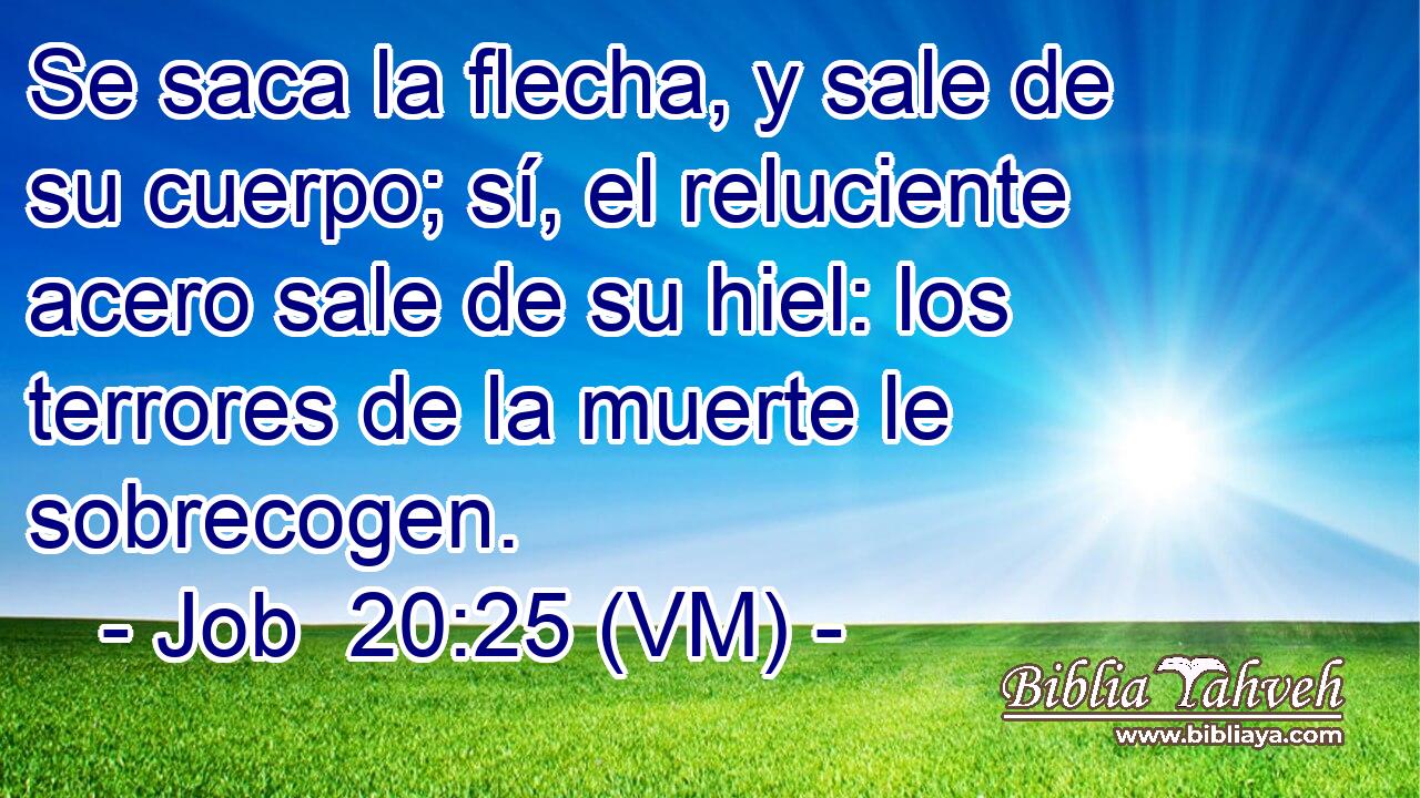  Se saca la flecha, y sale de su cuerpo; sí, el reluciente acero sale de su hiel: los terrores de la muerte le sobrecogen. 