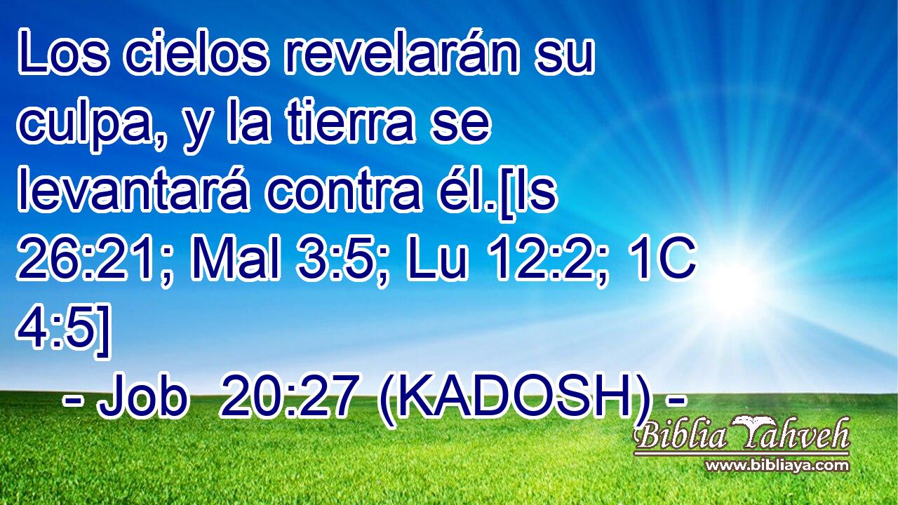  Los cielos revelarán su culpa, y la tierra se levantará contra él.[Is 26:21; Mal 3:5; Lu 12:2; 1C 4:5] 