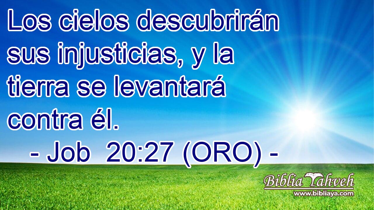  Los cielos descubrirán sus injusticias, y la tierra se levantará contra él. 