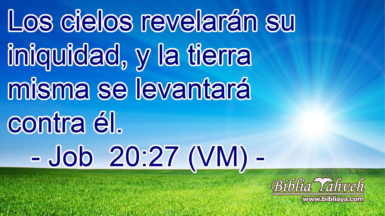  Los cielos revelarán su iniquidad, y la tierra misma se levantará contra él. 