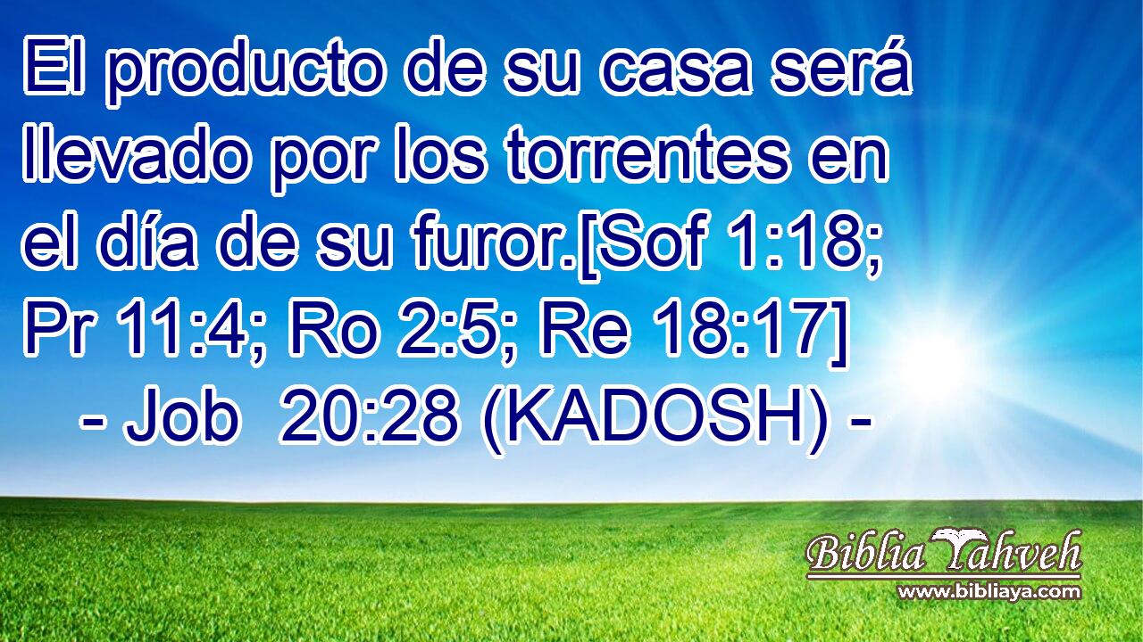  El producto de su casa será llevado por los torrentes en el día de su furor.[Sof 1:18; Pr 11:4; Ro 2:5; Re 18:17] 