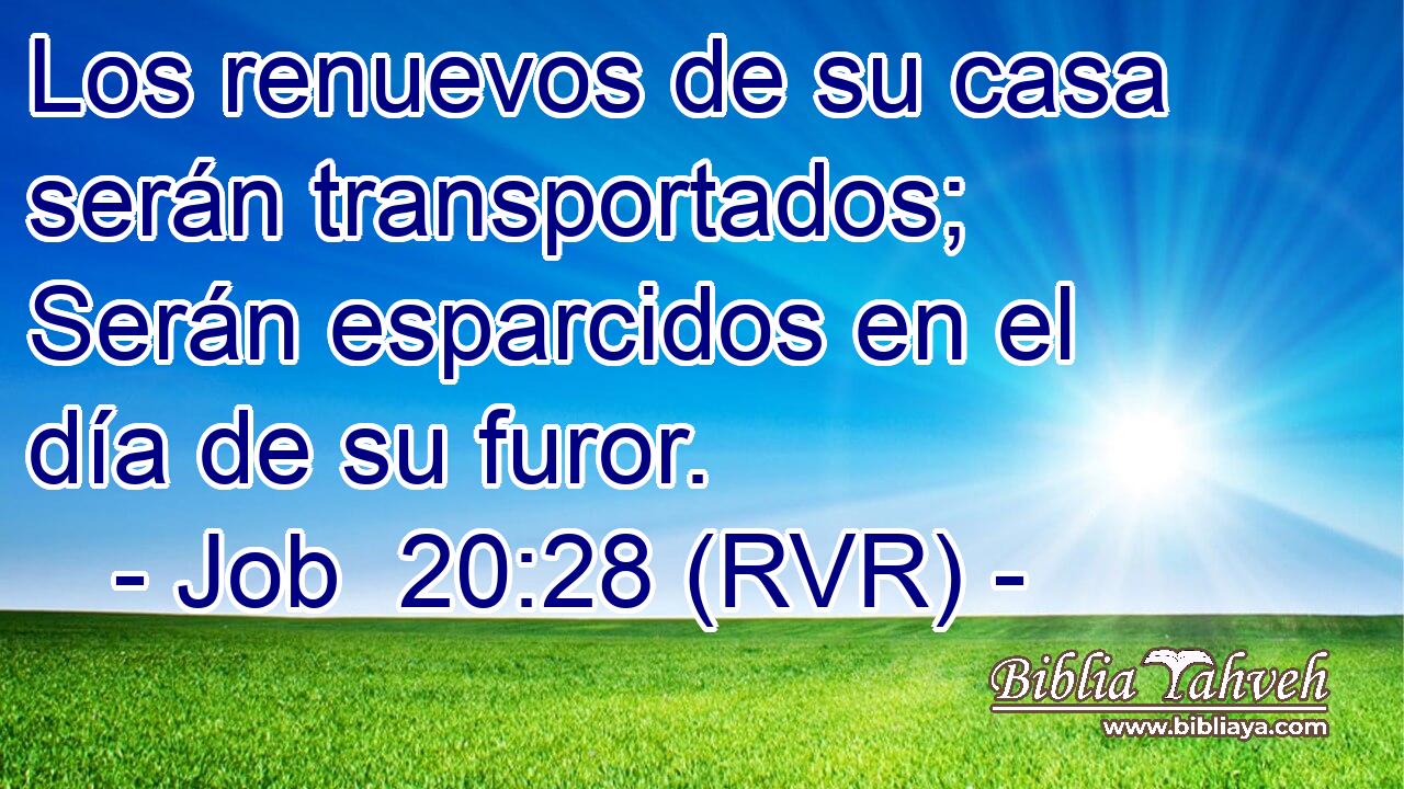 Los renuevos de su casa serán transportados; Serán esparcidos en el día de su furor.