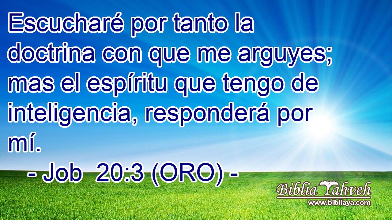  Escucharé por tanto la doctrina con que me arguyes; mas el espíritu que tengo de inteligencia, responderá por mí. 