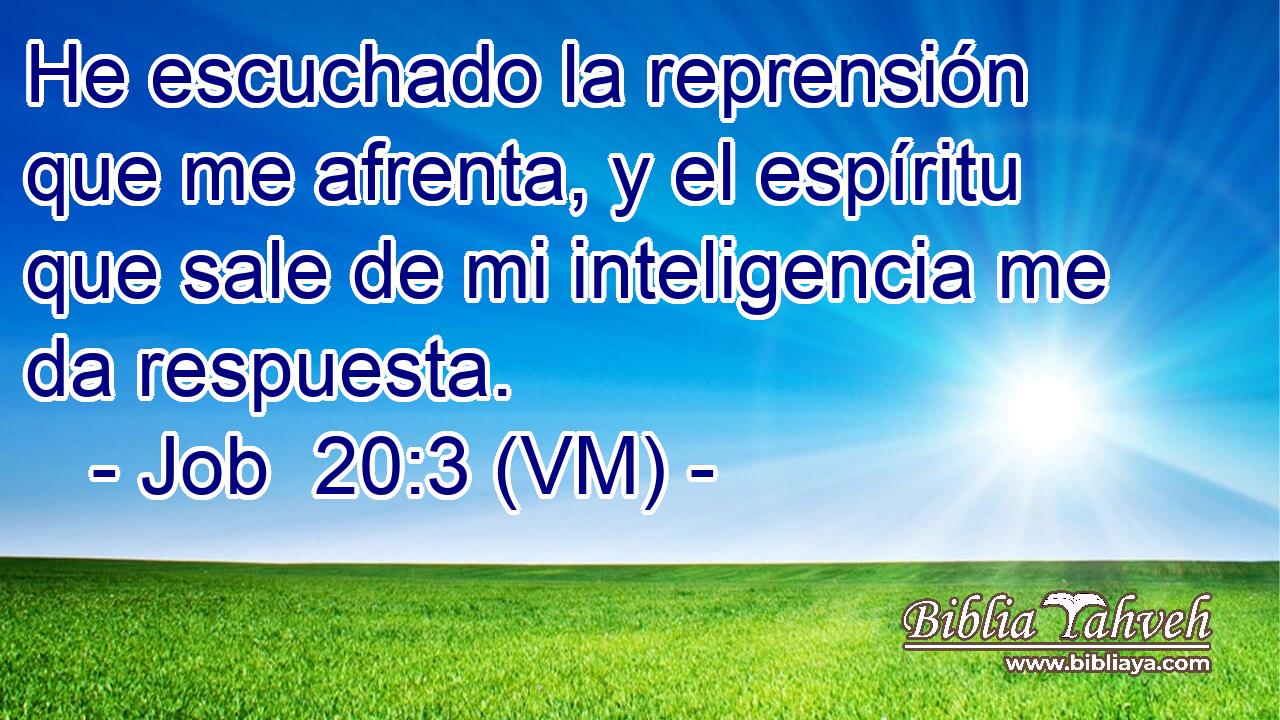  He escuchado la reprensión que me afrenta, y el espíritu que sale de mi inteligencia me da respuesta. 