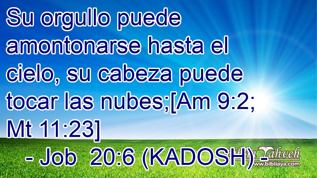  Su orgullo puede amontonarse hasta el cielo, su cabeza puede tocar las nubes;[Am 9:2; Mt 11:23] 