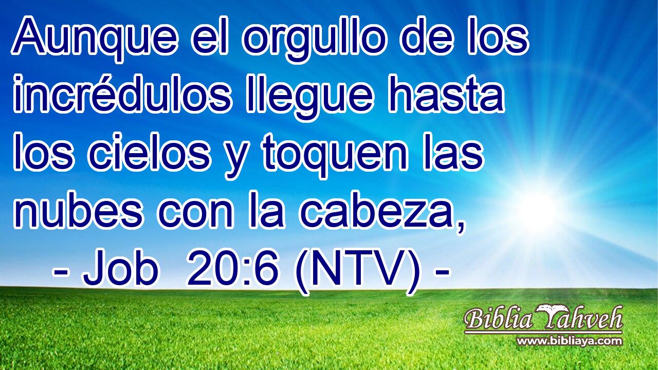 Aunque el orgullo de los incrédulos llegue hasta los cielos y toquen las nubes con la cabeza,