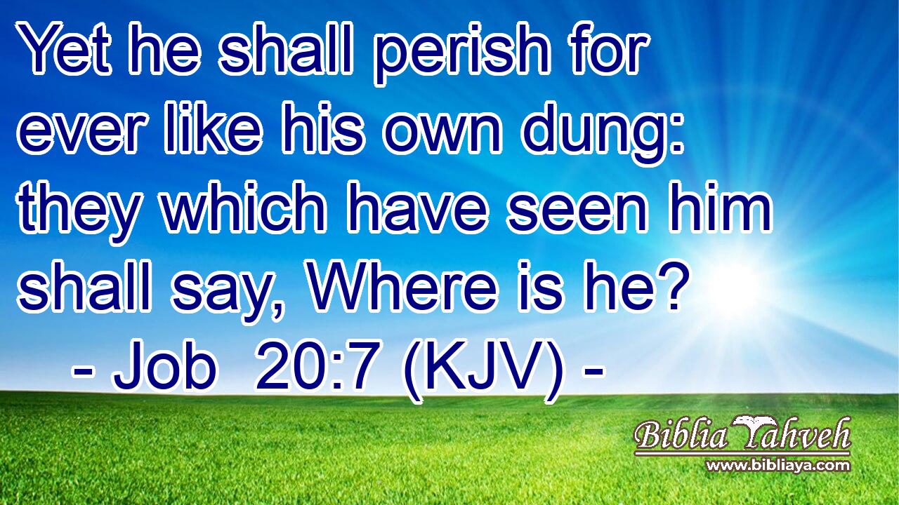 Yet he shall perish for ever like his own dung: they which have seen him shall say, Where is he?