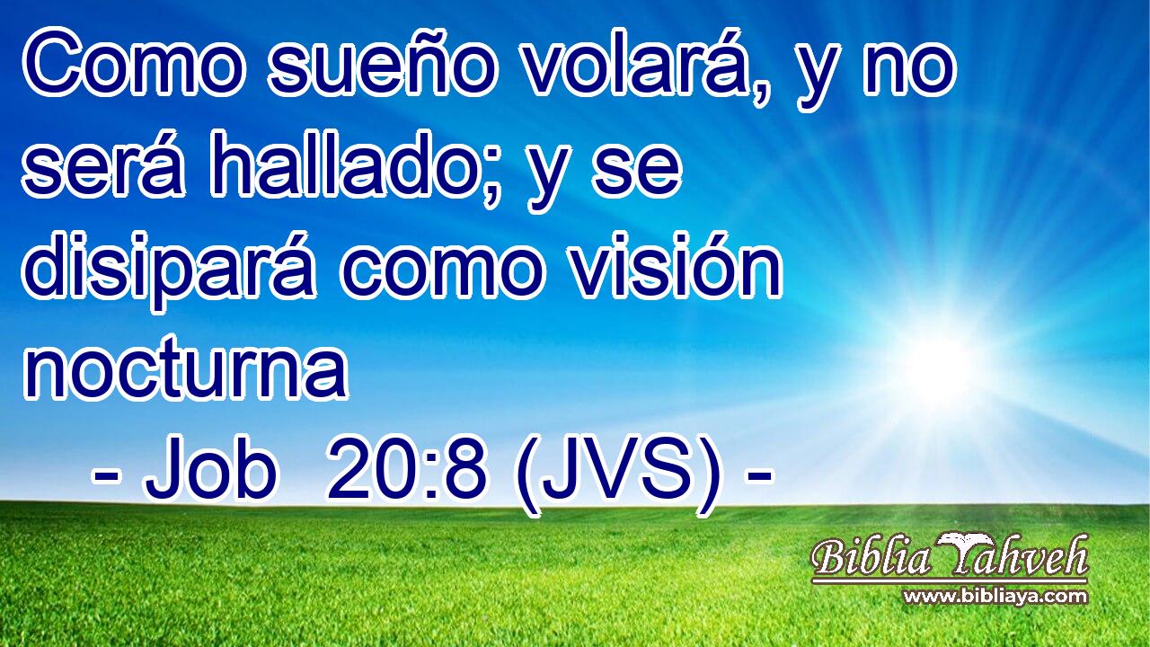 Como sueño volará, y no será hallado; y se disipará como visión nocturna