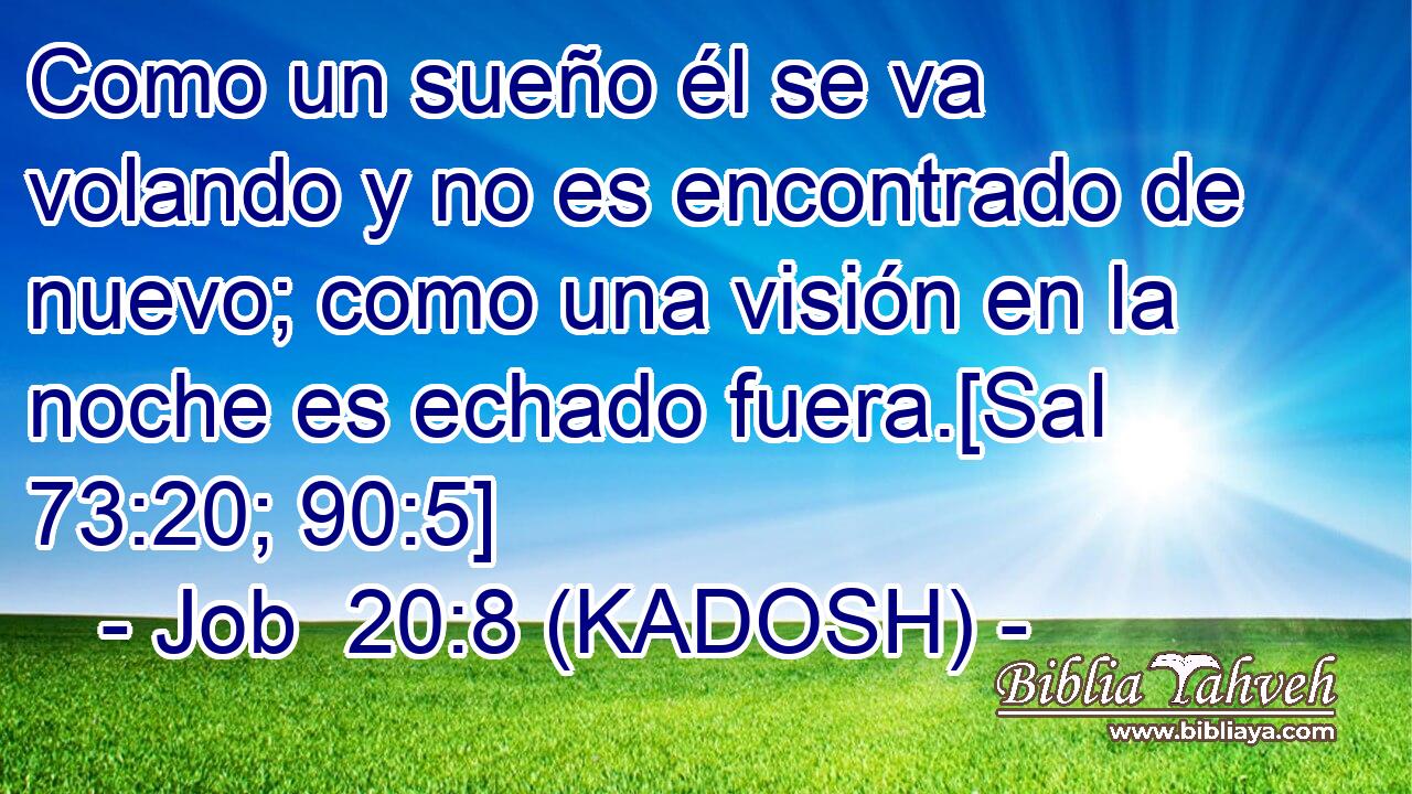  Como un sueño él se va volando y no es encontrado de nuevo; como una visión en la noche es echado fuera.[Sal 73:20; 90:5] 