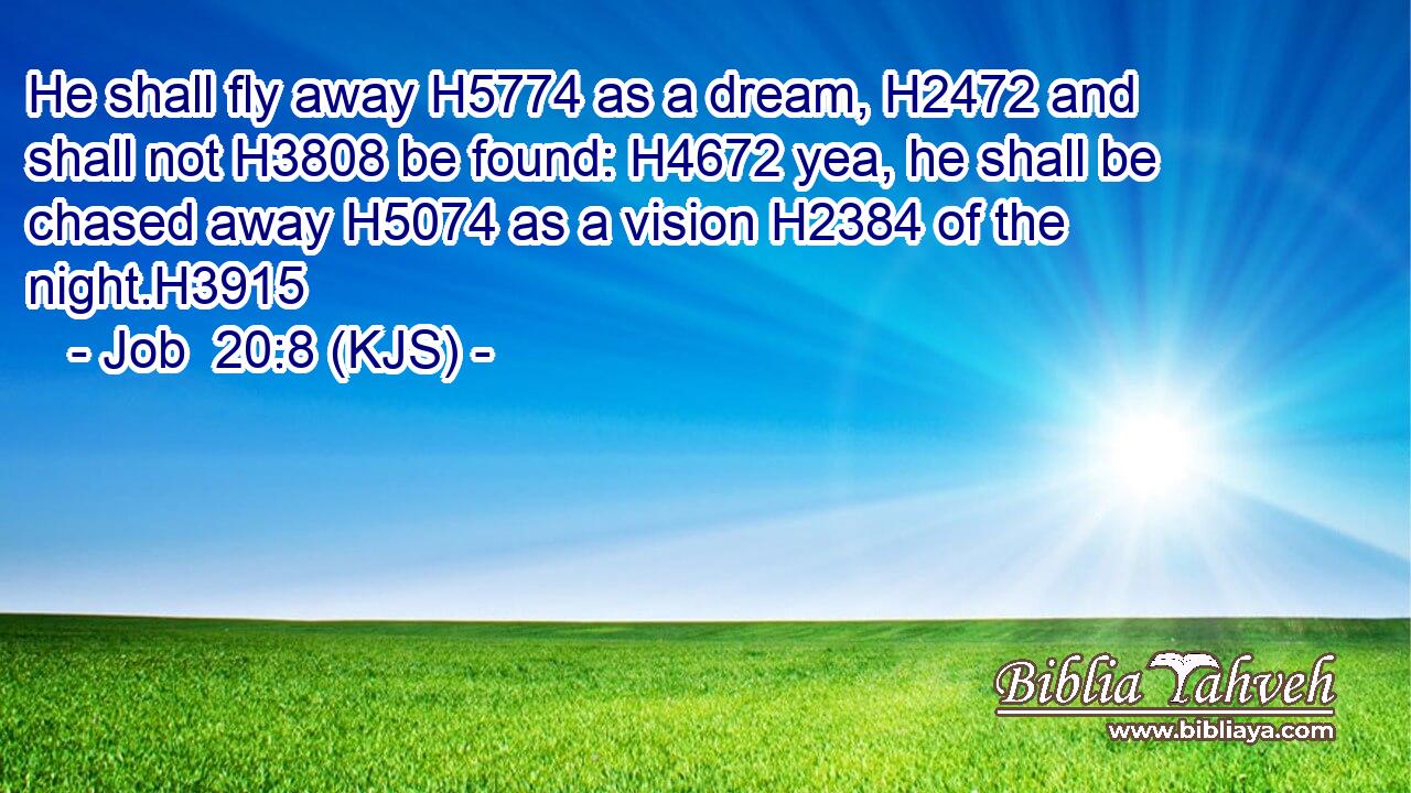 He shall fly away H5774 as a dream, H2472 and shall not H3808 be found: H4672 yea, he shall be chased away H5074 as a vision H2384 of the night.H3915