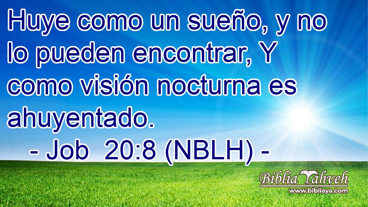  Huye como un sueño, y no lo pueden encontrar, Y como visión nocturna es ahuyentado. 
