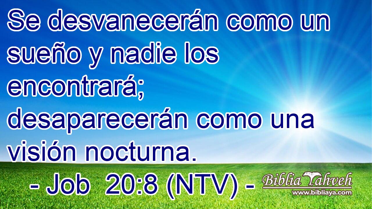 Se desvanecerán como un sueño y nadie los encontrará; desaparecerán como una visión nocturna.