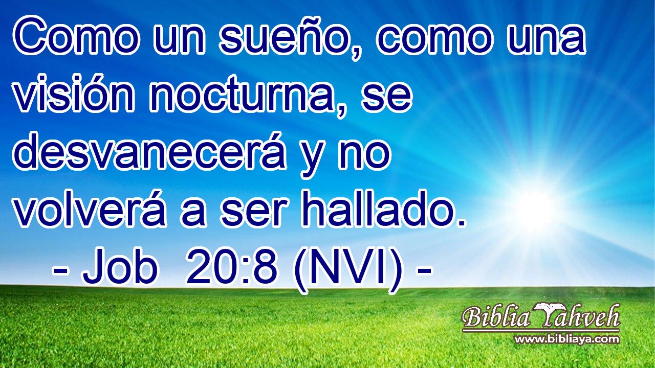  Como un sueño, como una visión nocturna, se desvanecerá y no volverá a ser hallado. 