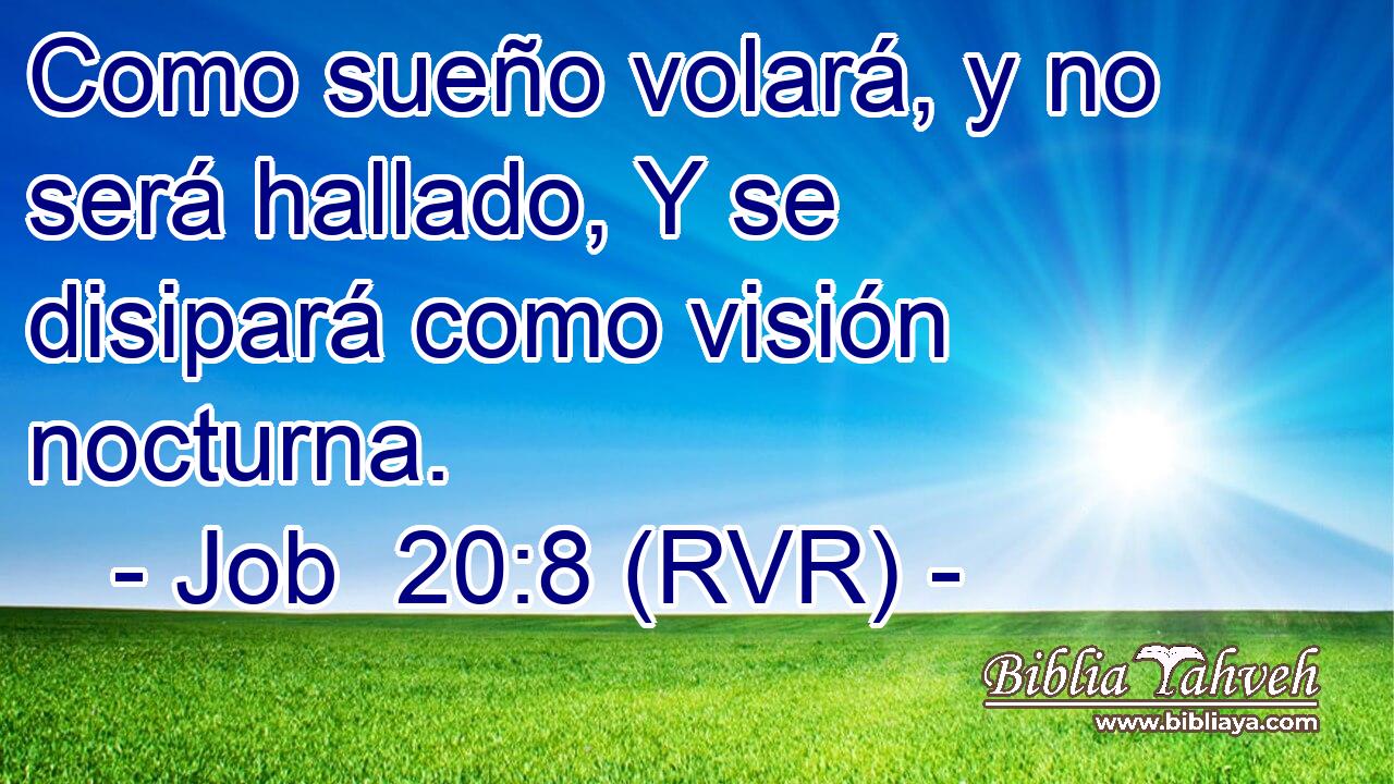 Como sueño volará, y no será hallado, Y se disipará como visión nocturna.