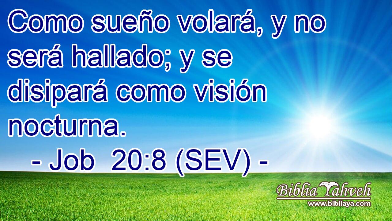 Como sueño volará, y no será hallado; y se disipará como visión nocturna.