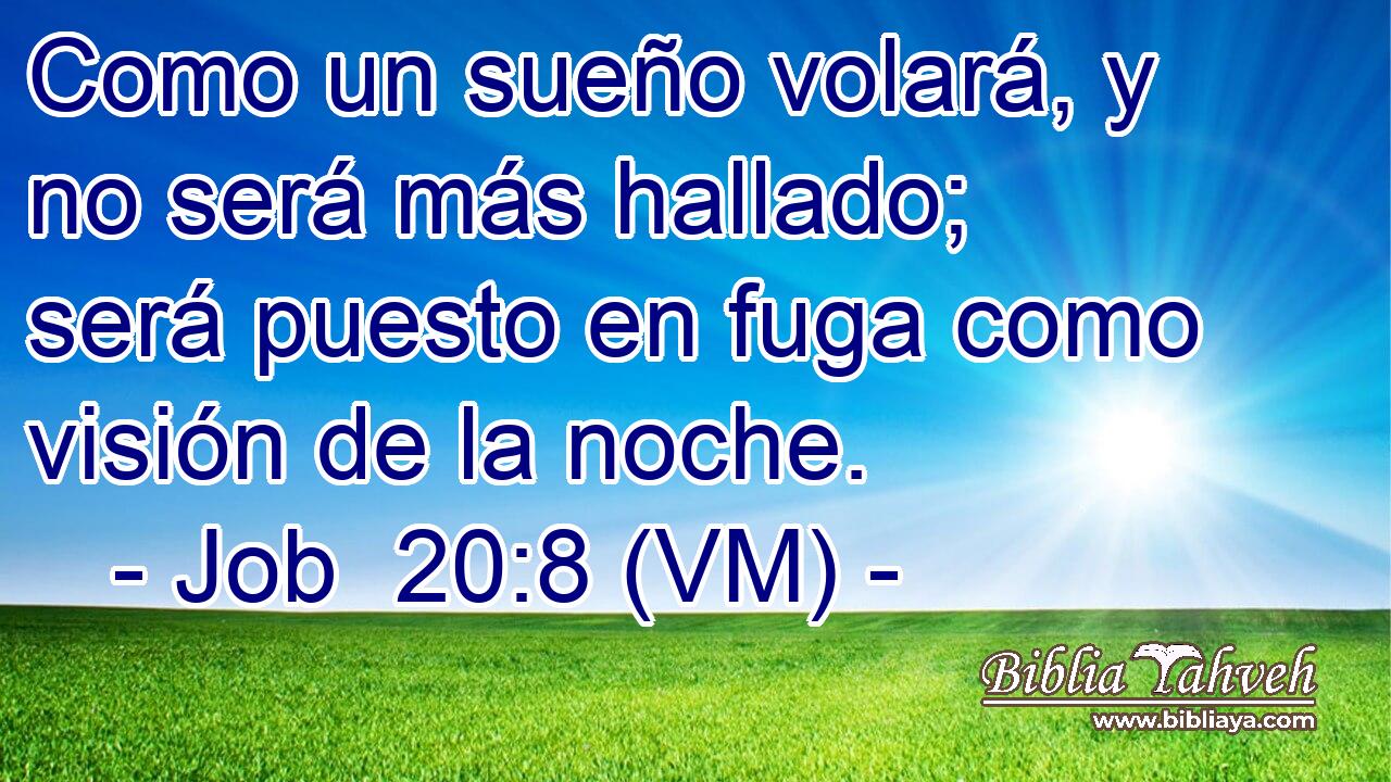  Como un sueño volará, y no será más hallado; será puesto en fuga como visión de la noche. 