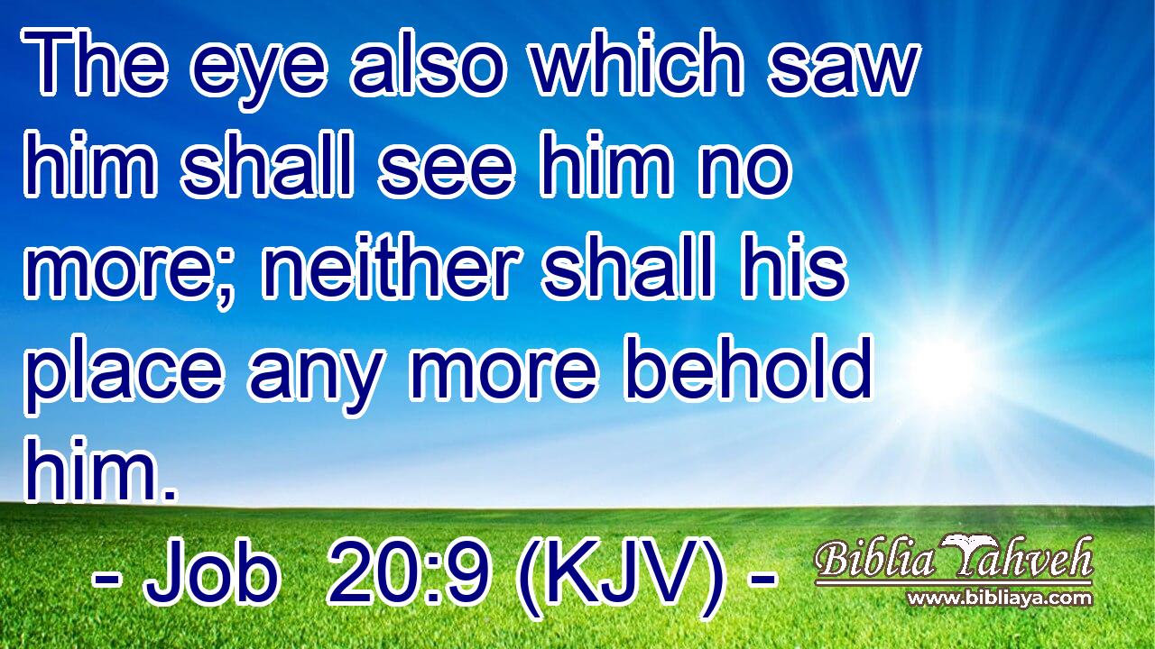 The eye also which saw him shall see him no more; neither shall his place any more behold him.