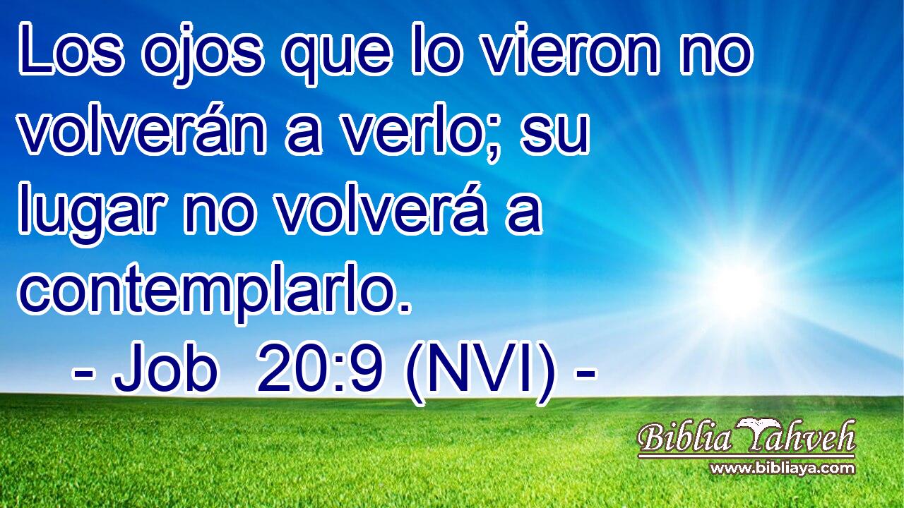  Los ojos que lo vieron no volverán a verlo; su lugar no volverá a contemplarlo. 