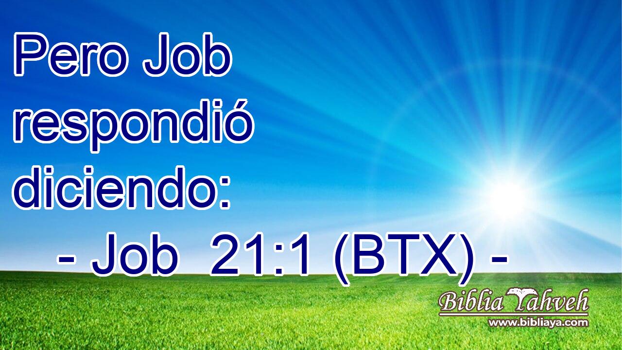 Pero Job respondió diciendo: