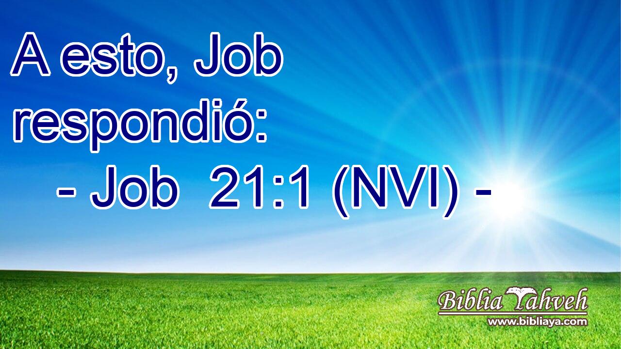  A esto, Job respondió: 