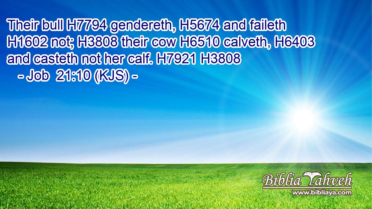 Their bull H7794 gendereth, H5674 and faileth H1602 not; H3808 their cow H6510 calveth, H6403 and casteth not her calf. H7921 H3808