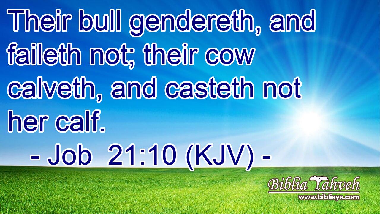 Their bull gendereth, and faileth not; their cow calveth, and casteth not her calf.